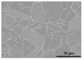 Microstructure of Alloy 690TT etched in a mixed solution of 2% bromine and 98% methanol.