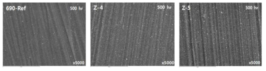 Surface oxide morphology of Alloy 690-Zn under the corrosion test for 500 hr.