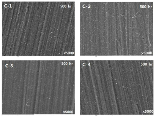 Surface oxide morphology of Alloy 690-Ce under the corrosion test for 500 hr.