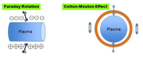 Faraday rotation 법과 Cotton-Mouton 효과법에 관한 개념도; 왼쪽의 경우는 플라즈마를 옆에서 쳐다 본 경우이며, 오른쪽의 경우는 플라즈마를 정면에서 쳐다 본 경우임.
