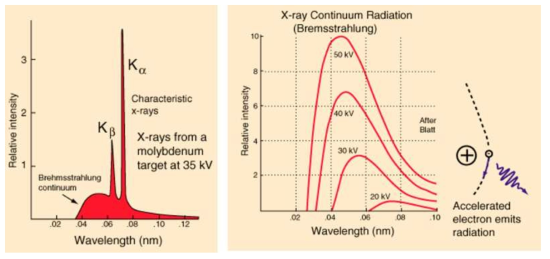Bremsstrahlung X선의 개념: Bremsstrahlung X선은 전자나 이온과 같은 전하를 가진 입지가 가속 또는 감속될 때 방출되는 전자기파로서 연속 스펙트럼의 성격을 가짐.