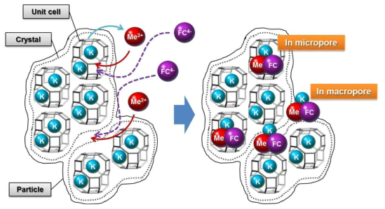 Conceptual diagram for synthesis mechanism of CHA-MFC by formation of MFC nanocrystals in micro and macro pores.