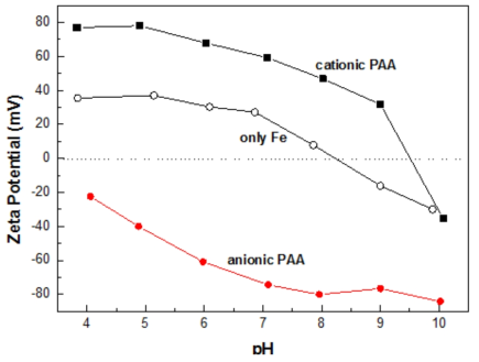 Zeta potentials of ferric hydroxide particles and PAA in solution with pH.