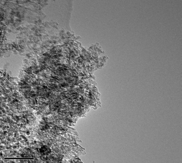 TEM photograph of fresh catalyst.