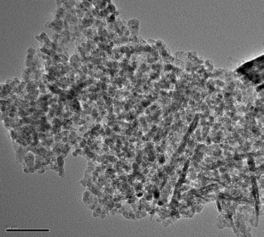 TEM photograph of catalyst tested at 800℃.