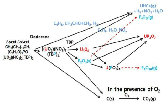 Reaction pathway of thermal decomposition of Uranyl nitrate - TBP adduct [(UO2)(NO3)2(TBP)2].