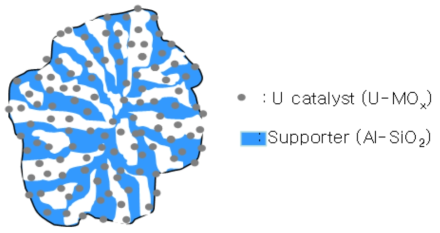 Conceptual structure of uranium complex waste particle.