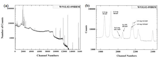 (a) W93L02-09BRM Pulse height spectrum, (b) 103.7 keV Pu K-shell X-ray peak.