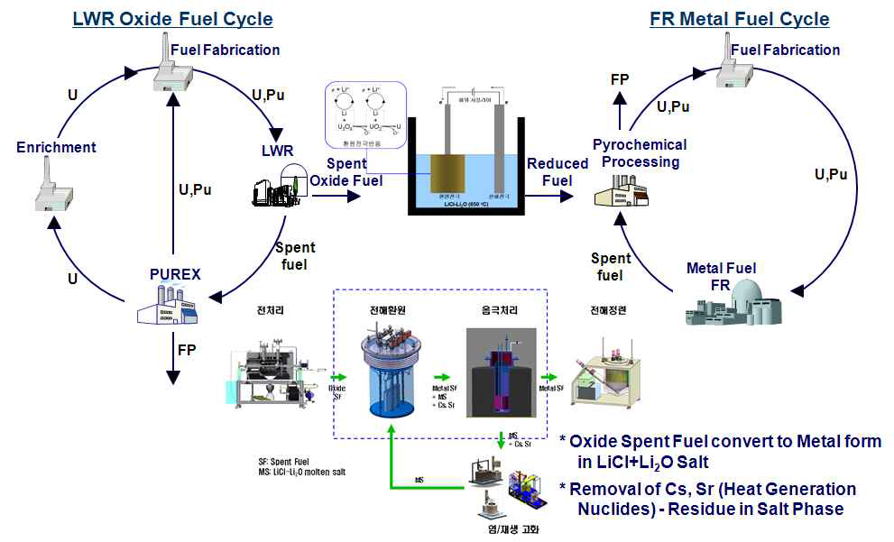 사용후연료 전해환원공정 연계도