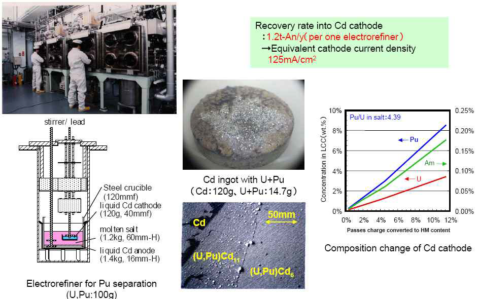 Pu를 사용한 실험실 규모 전해정련장치 실증시험 결과