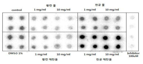 Inhibition effect of plant extract concentration on protein kinase C assay