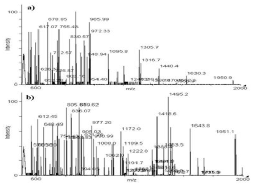 MALDI-TOF analysis of non-irradiated (a) and irradiated (b) Silk hydrolysate