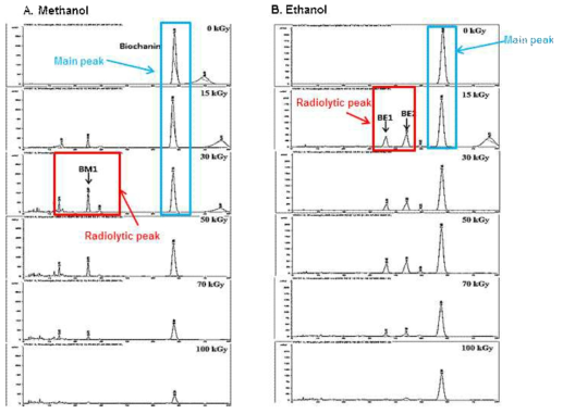 HPLC Chromatogram of irradiated Biochanin (1 mg/mL) solubilized in ethanol and methanol.