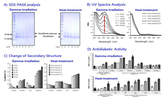 Effect of gamma-irradiation and heat treatment on the change of molecular weight, UV spectra, secondary structure and insulin secretion of Mistletoe Viscothionin