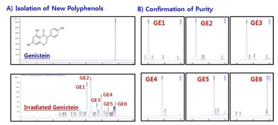 Isolation of New Radiation-induced product from Genistein irradiated in methanol and confirmation of single isolated product using preparative and analytical HPLCs.