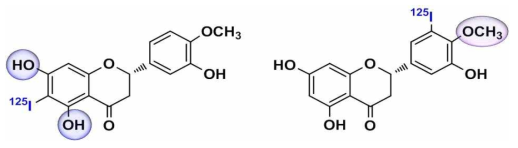 Hesperetin의 iodinated hesperetin 예상 구조