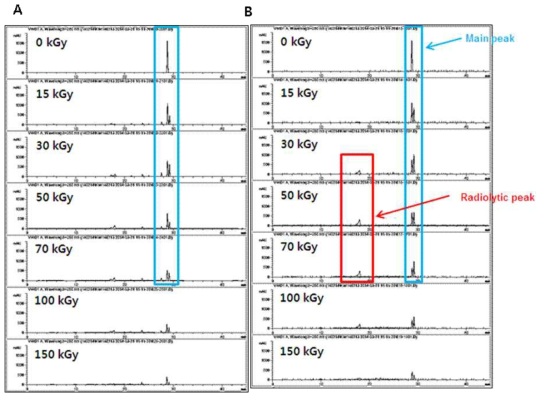 Gradient mode HPLC Chromatogram of irradiated kamferol (3 mg/mL)solubilized in (A) ethanol (B) methanol