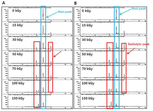 Gradient mode HPLC Chromatogram of irradiated Morin (3 mg/mL)solubilized in (A) ethanol (B) methanol.