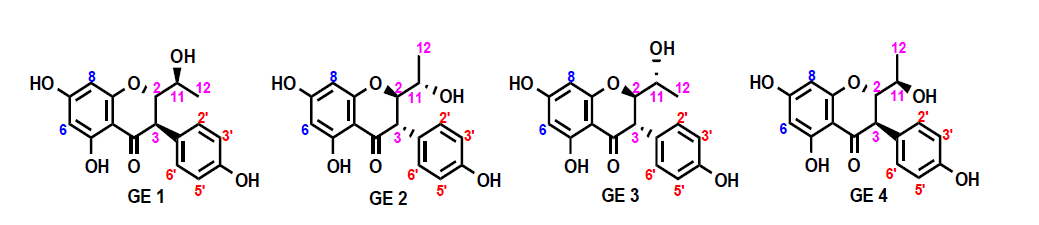 Suggested structure of GE 1~4