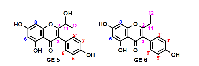 Suggested structure of GE 5~6