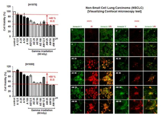 Cytotoxic effect and apoptosis of non-irradiated Apigenin (A) or gamma-irradiated Apigenin in methanol (AM) and ethanol (AE) on the visualizing Confocal microscopy test of H1975 and H1650.