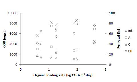낮은 C/N비 조건에서의 유기물 부하에 따른 COD 처리 효율.