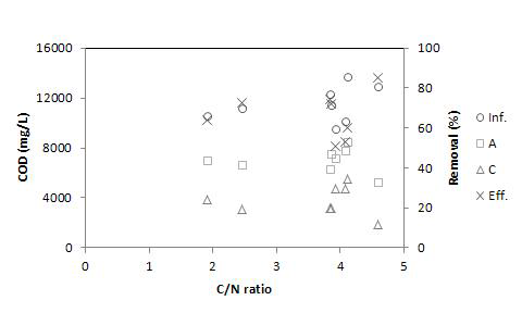 낮은 C/N비 조건에서의 COD 처리 효율.