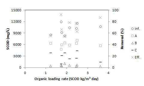 높은 C/N비 조건에서의 유기물 부하에 따른 SCOD 처리 효율.