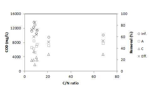 높은 C/N비 조건에서의 COD 처리 효율.