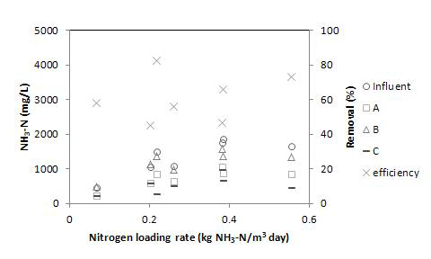 높은 C/N비 조건에서의 질소 부하에 따른 암모니아 처리 효율.