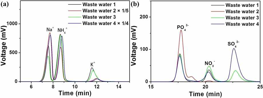 폐수 샘플의 ion chromatogram.