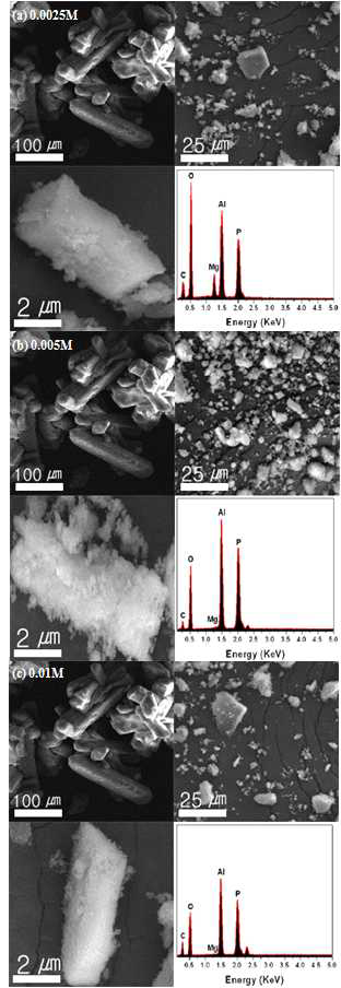 Al2(SO4)3가첨가된struvite의 SEM이미지및EDX스펙트럼