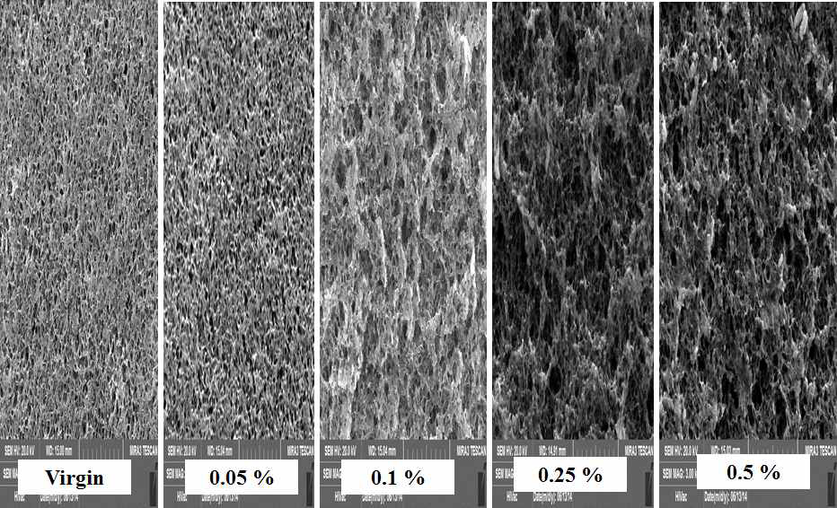 7kGy에 대한 GMA농도에 따른 membrane 표면 변화 SEM images.