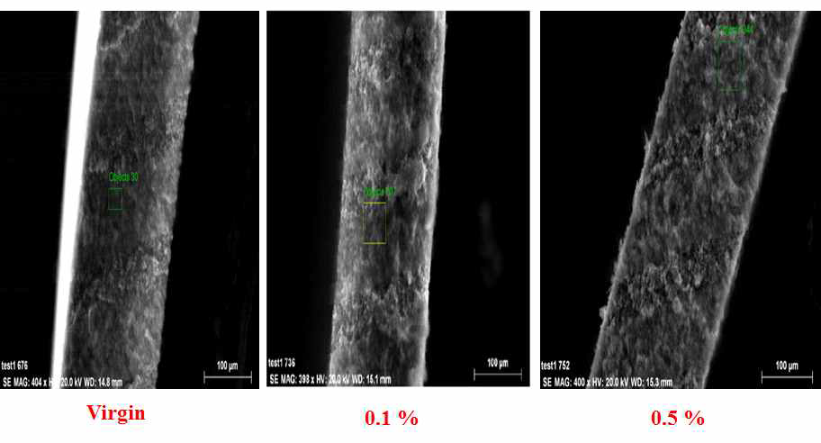 7 kGy선량에서 0.1, 0.5% GMA를 이용한 grafting membrane의 cross-section images.