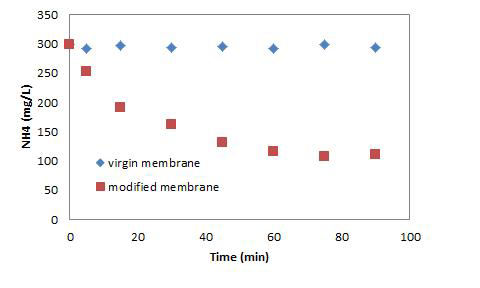 시간에 따른 용액내 NH4 + 농도변화 결과