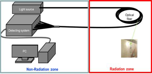 Schematic of radiation irradiation experiment.