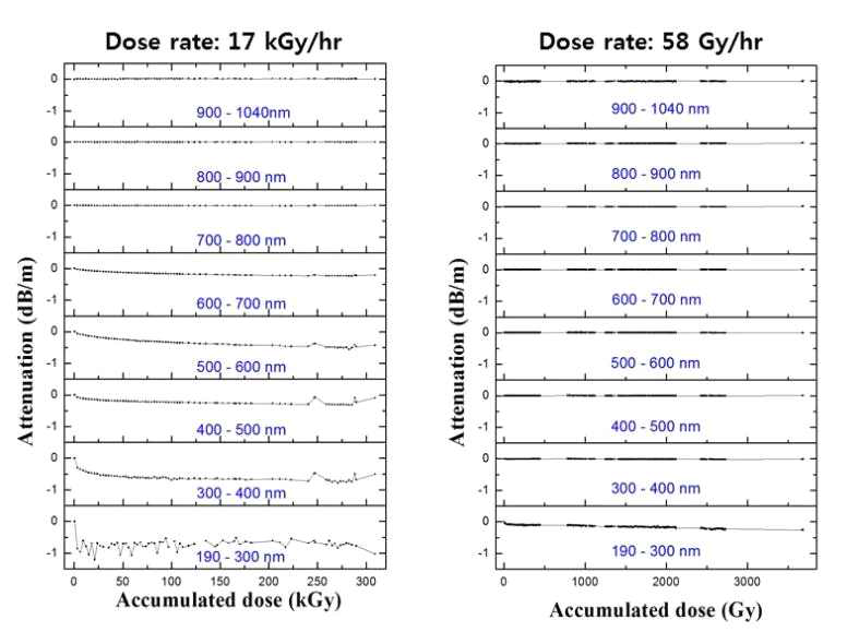 Signal intensity attenuation of each wavelength when low level gamma-ray was accumulated on FG365UEC optical fiber cable.