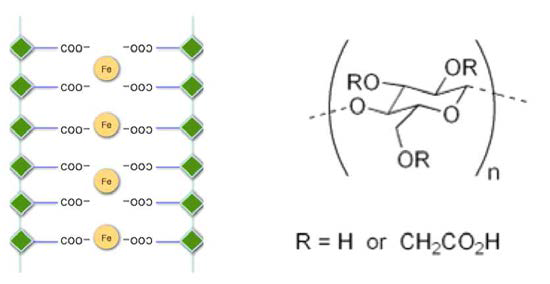 Carboxymethyl cellulose의 화학적 구조와 금속과의 결합형성 모식도