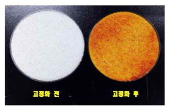 금속이온/천연고분자 고정화제 처리 전과 후 비교