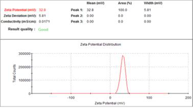EDA-MNPs의 표면전하 측정 결과