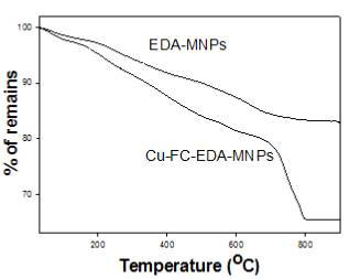 EDA-MNPs와 Cu-FC-EDA-MNPs의TGA 분석 결과