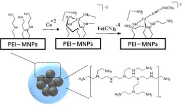 PEI-MNPs 입자 표면에 구리-페로 시아나이드 complex의 도입