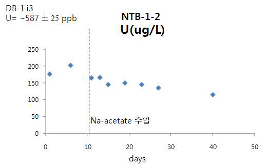 시추공 NTB-1-2에 DB-1 i3구간 지하수(U= ~587±25 μg/L)와 Na-acetate (5 mM) 주입후 NTB-1-2 지하수의 우라늄 농도 변화