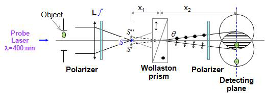 Wollaston 프리즘을 이용한 Nomarski 간섭계 개략도 및 원리