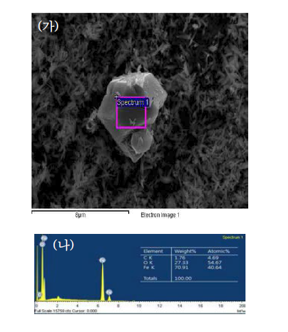 (가) 침철석으로부터 용출된 철 이온에 의해 형성된 자철석의 전자현미경 이미지와 (나) SEM-EDS 분석결과