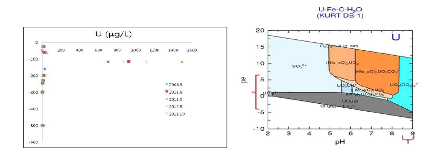 KURT DB-1 시추공 I3 구간의 우라늄 농도 관측 결과(좌) 및 PHREEQC를 이용한 우라늄 화학종 계산결과
