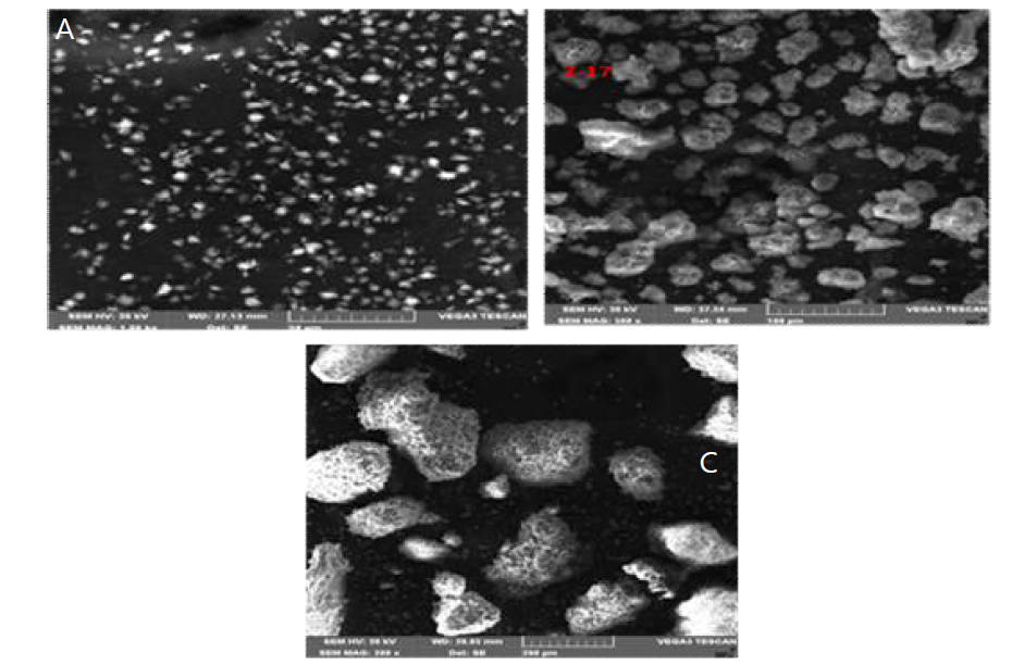 colloidal silica (A)와 상업용 실리카 (B)와 나노크기 실리카를 원료로 사용하여 합성한 흡수제들의 SEM 이미지