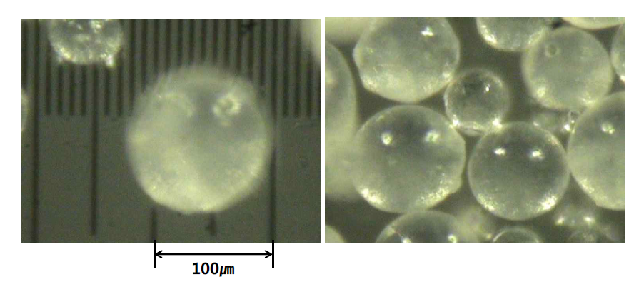 G4 담지 구형 흡수제의 현미경 사진