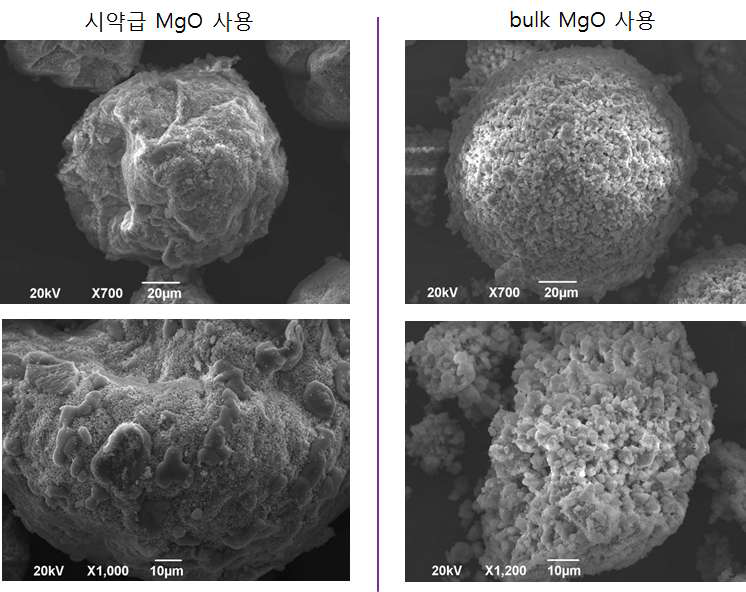 시약급 MgO와 bulk MgO를 사용하여 제조한 구형 흡수제의 SEM 이미지