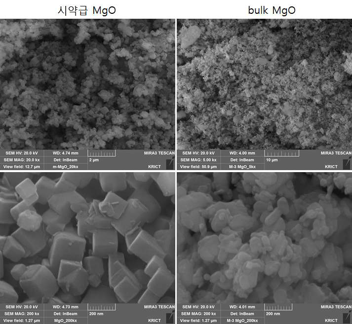 시약급 MgO와 bulk MgO의 SEM 이미지